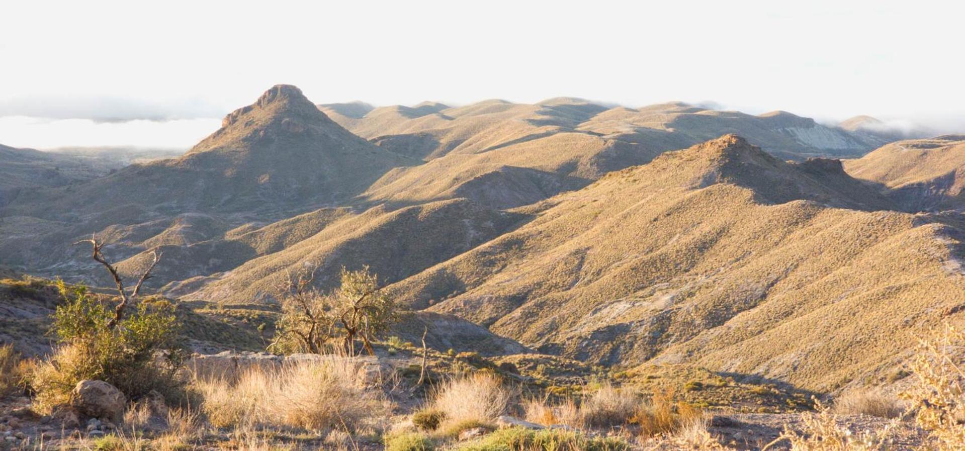 Cortijo El Albaricoque De La Sierra - Finca De 75 Hectareas ! Níjar Eksteriør billede