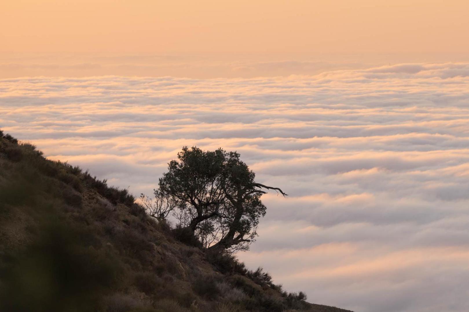 Cortijo El Albaricoque De La Sierra - Finca De 75 Hectareas ! Níjar Eksteriør billede